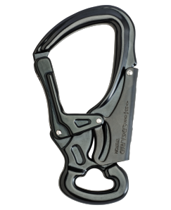DSG TRITON